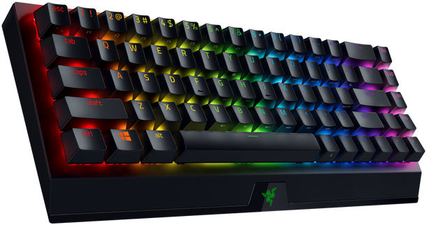 Игровая клавиатура Razer BlackWidow V3 Mini HyperSpeed (Green Switch) - Russian Layout Razer BlackWidow V3 Mini